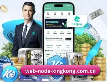 web-node-xingkong.com.cn APP